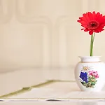 Wohngemeinschaft *
